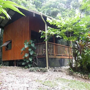 Epiphyte Cow Bay
