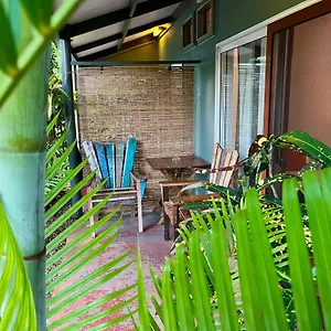 Rainforest Mission Beach